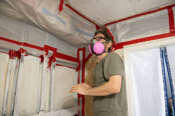 Best Emergency Mold Remediation  in Phoenix, IL